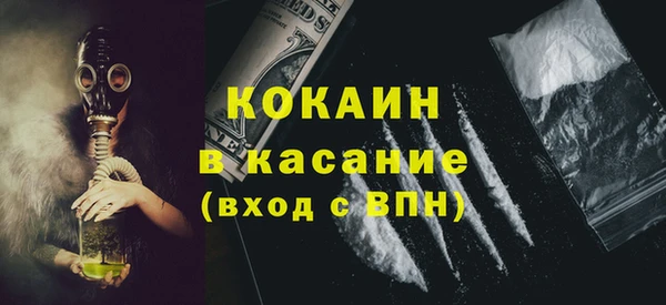 шишки Алексин