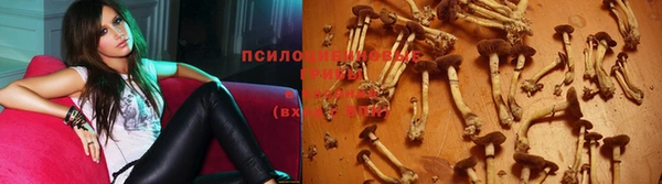 гашишное масло Алзамай