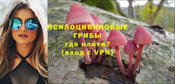 ECSTASY Алексеевка