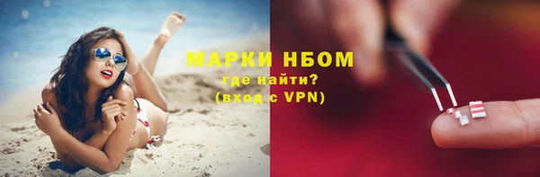 шишки Алексин