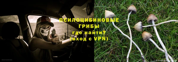 шишки Алексин