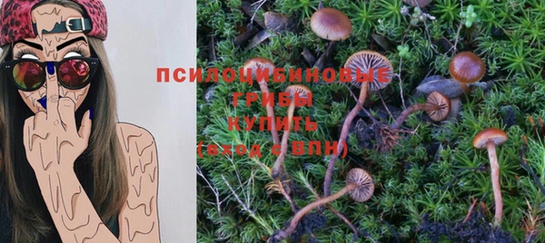 шишки Алексин
