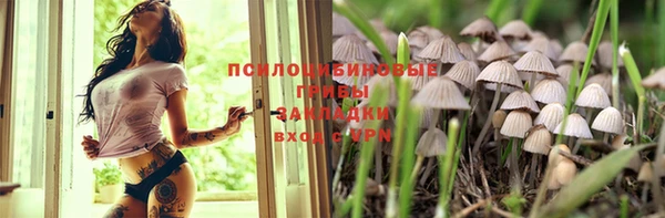 шишки Алексин