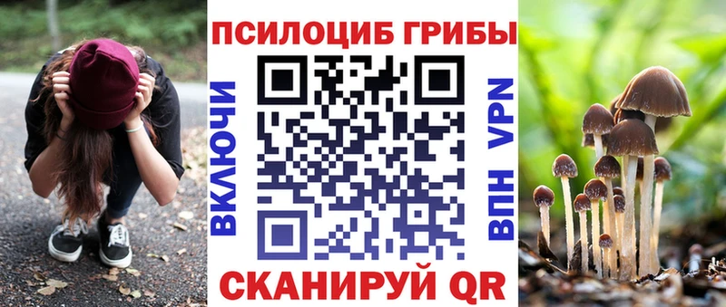 магазин продажи   Борзя  Псилоцибиновые грибы GOLDEN TEACHER 