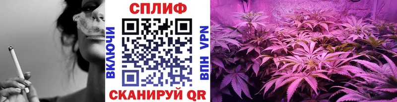 МАРИХУАНА ГИДРОПОН Борзя